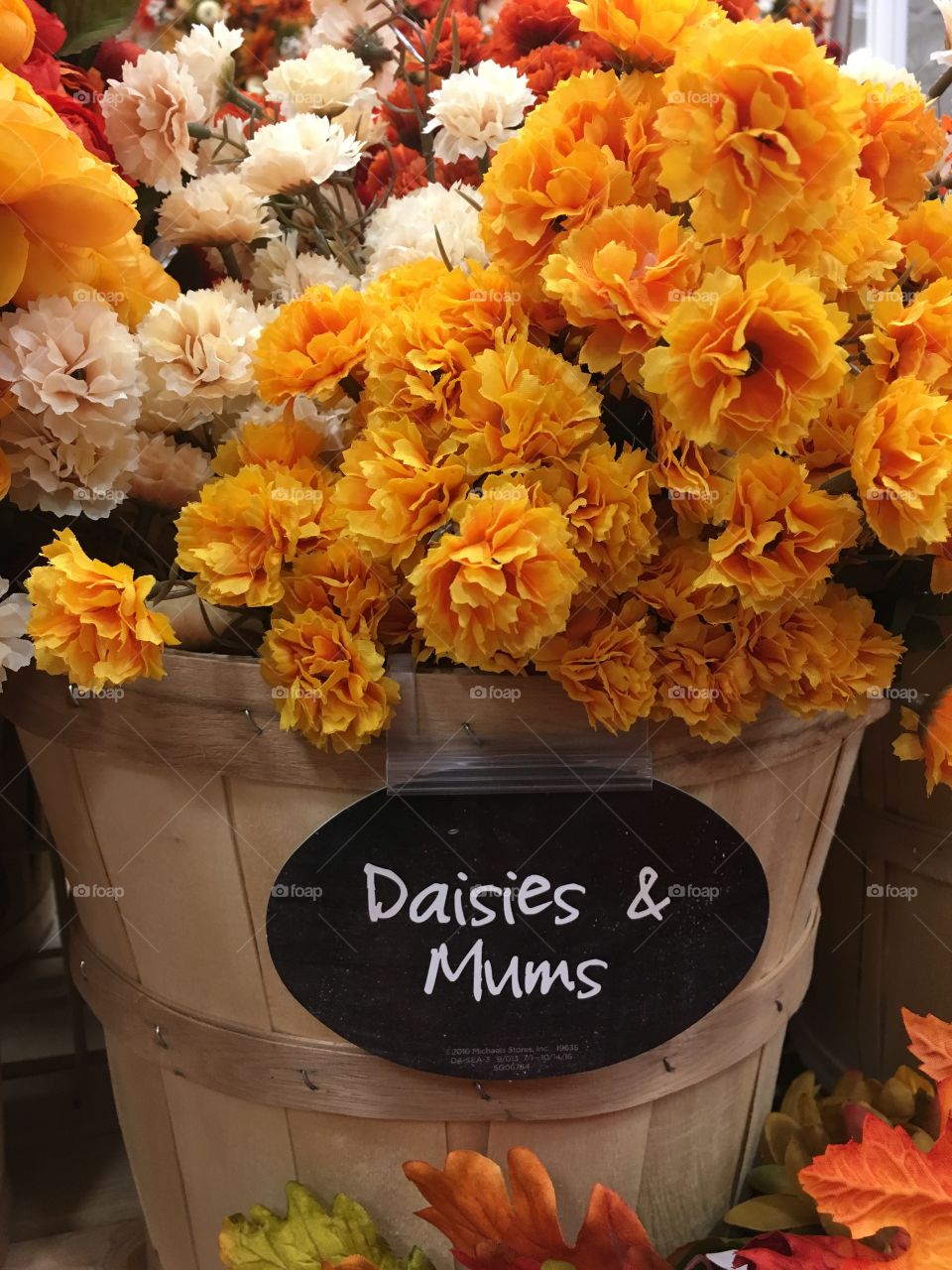 Mums and daisies 