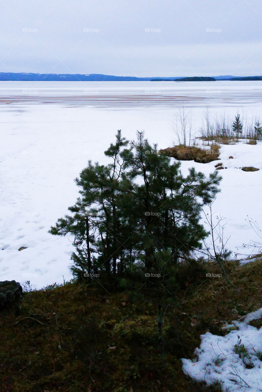 A winter lakescape, Sweden