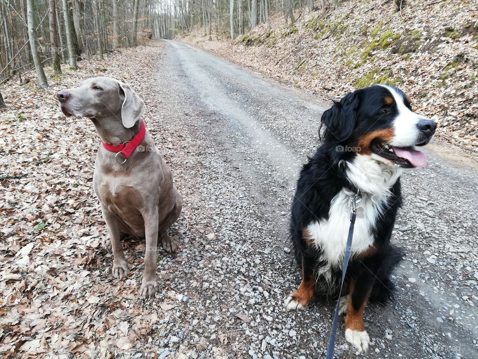 Ruby und Milow