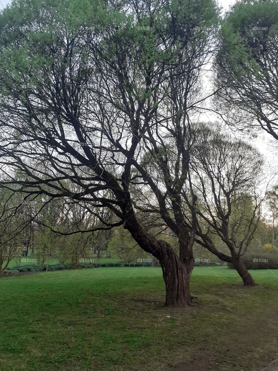 Парк Победы. Рига