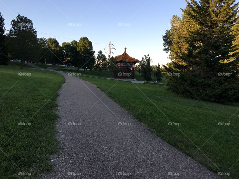 Golf, Tree, No Person, Grass, Landscape