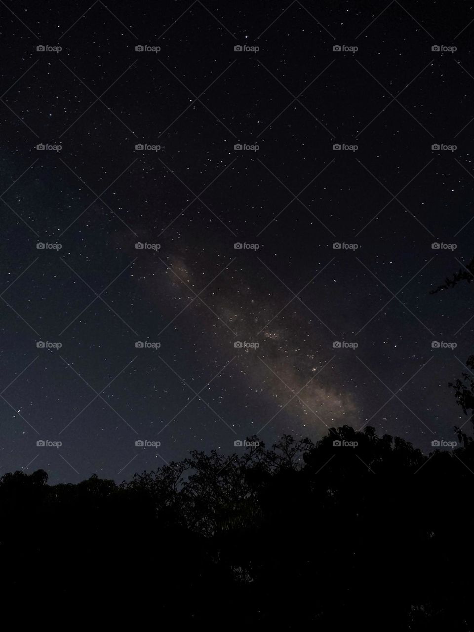 A stunning night sky featuring the Milky Way galaxy shining brightly over silhouetted trees. Countless stars illuminate the vast cosmos, creating a mesmerizing and peaceful celestial view. Perfect for astronomy and nature themes.