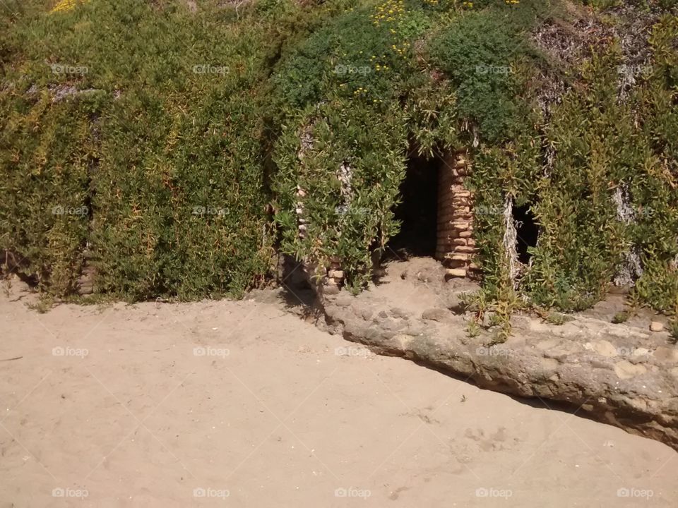 hidden cave. an old cave of an ancient villa located on the beach, surrounded by vegetation that almost hides