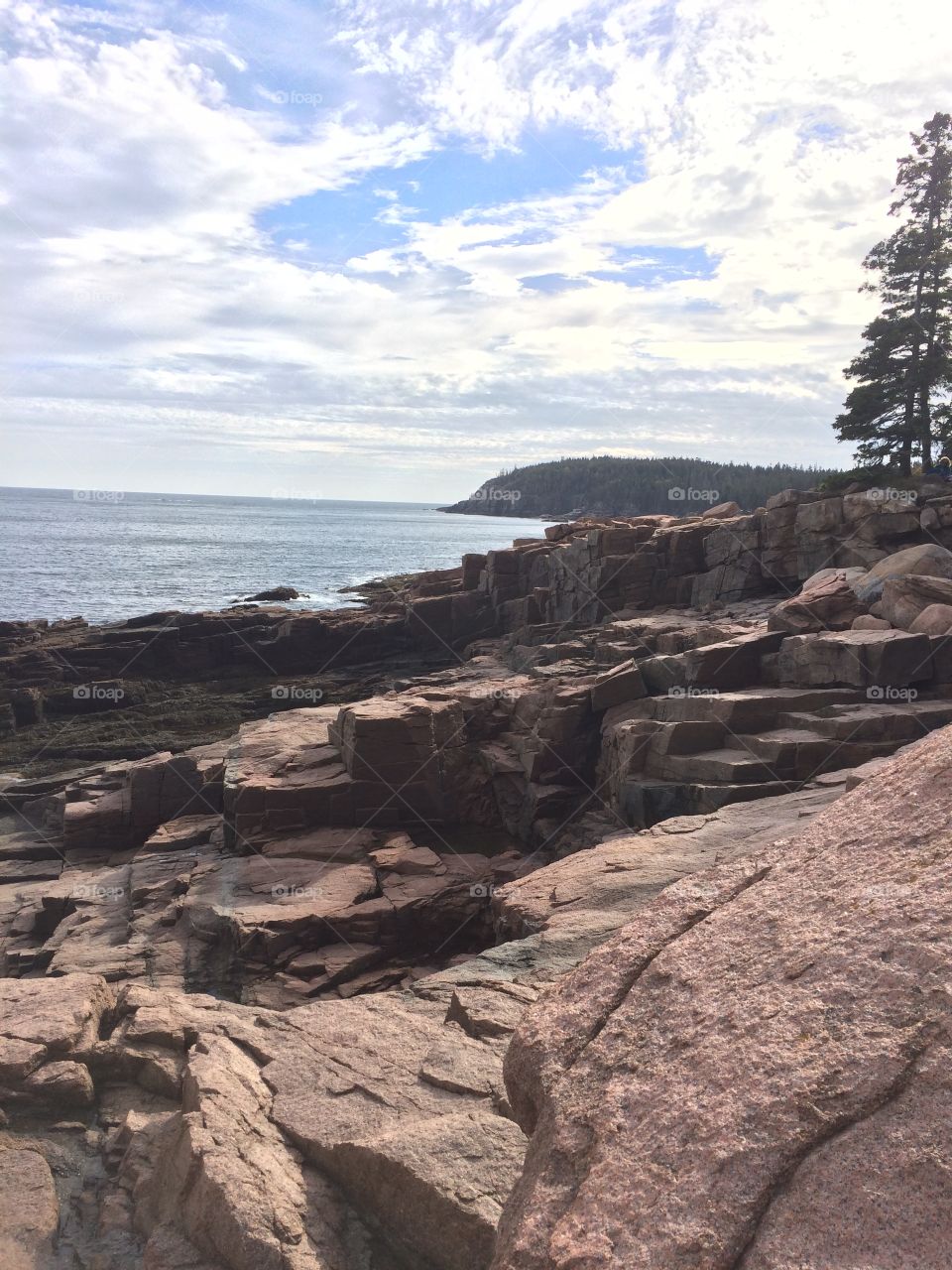 Acadia National Park cliff side view