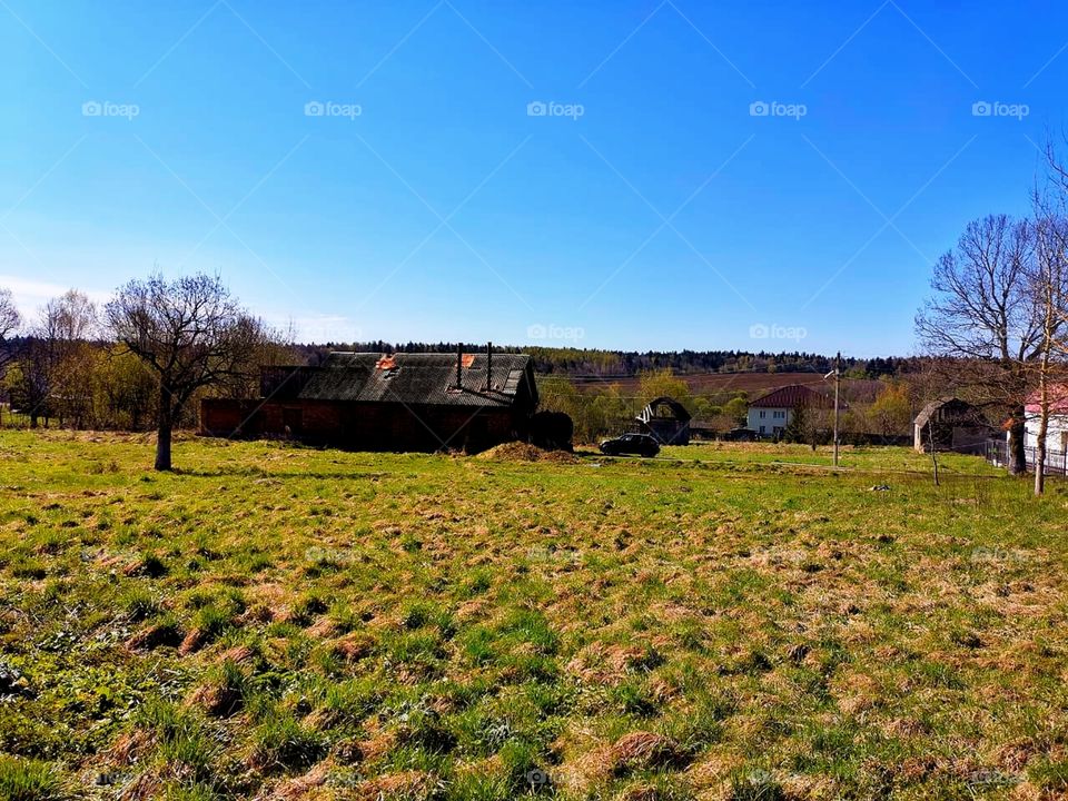 Life outside the city. Field