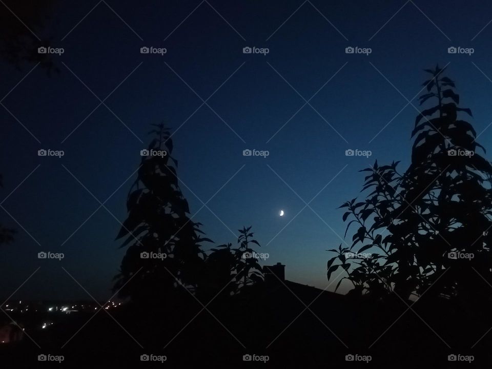 A magical night..this sky, this moon, the city in the background...just wonderful 🌌📷