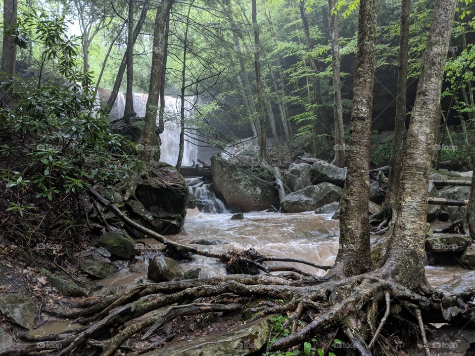 Cucumber Falls Ohiopyle PA