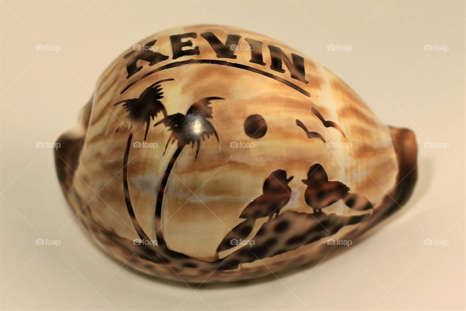 Vacation Souvenir - Sea Shell 