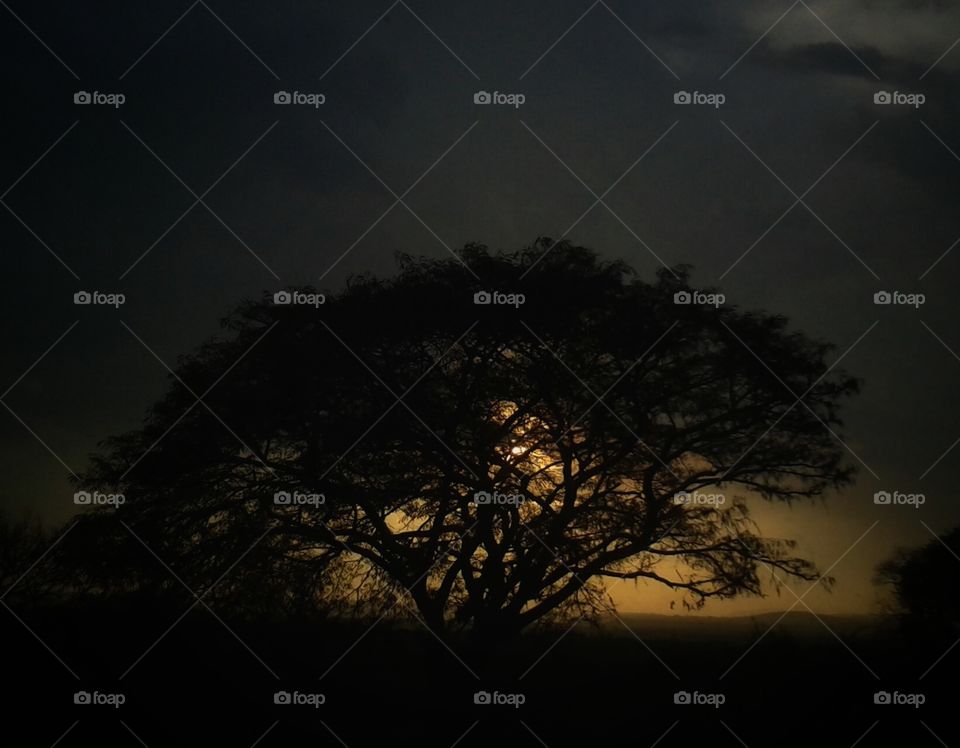 Sun rays  shining  through  the sun,sun,rays,shining,sunlight,sunshine,dawn,sunset,tree,landscape,colorful,reflection, summer