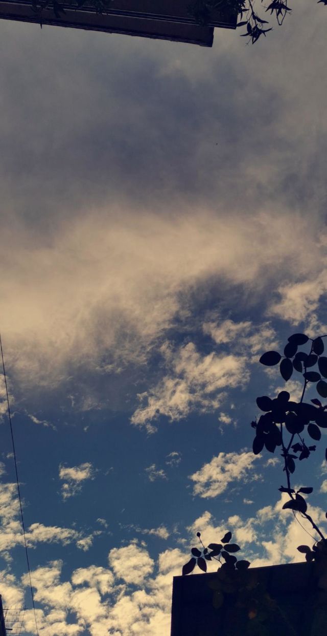 Sky