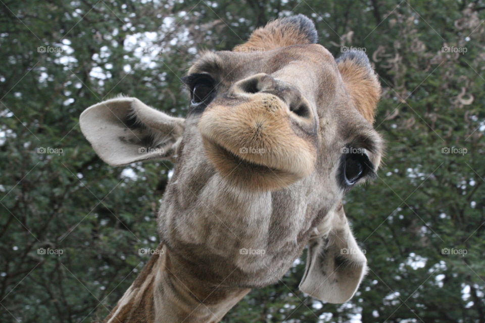 Looking down at you from above 
