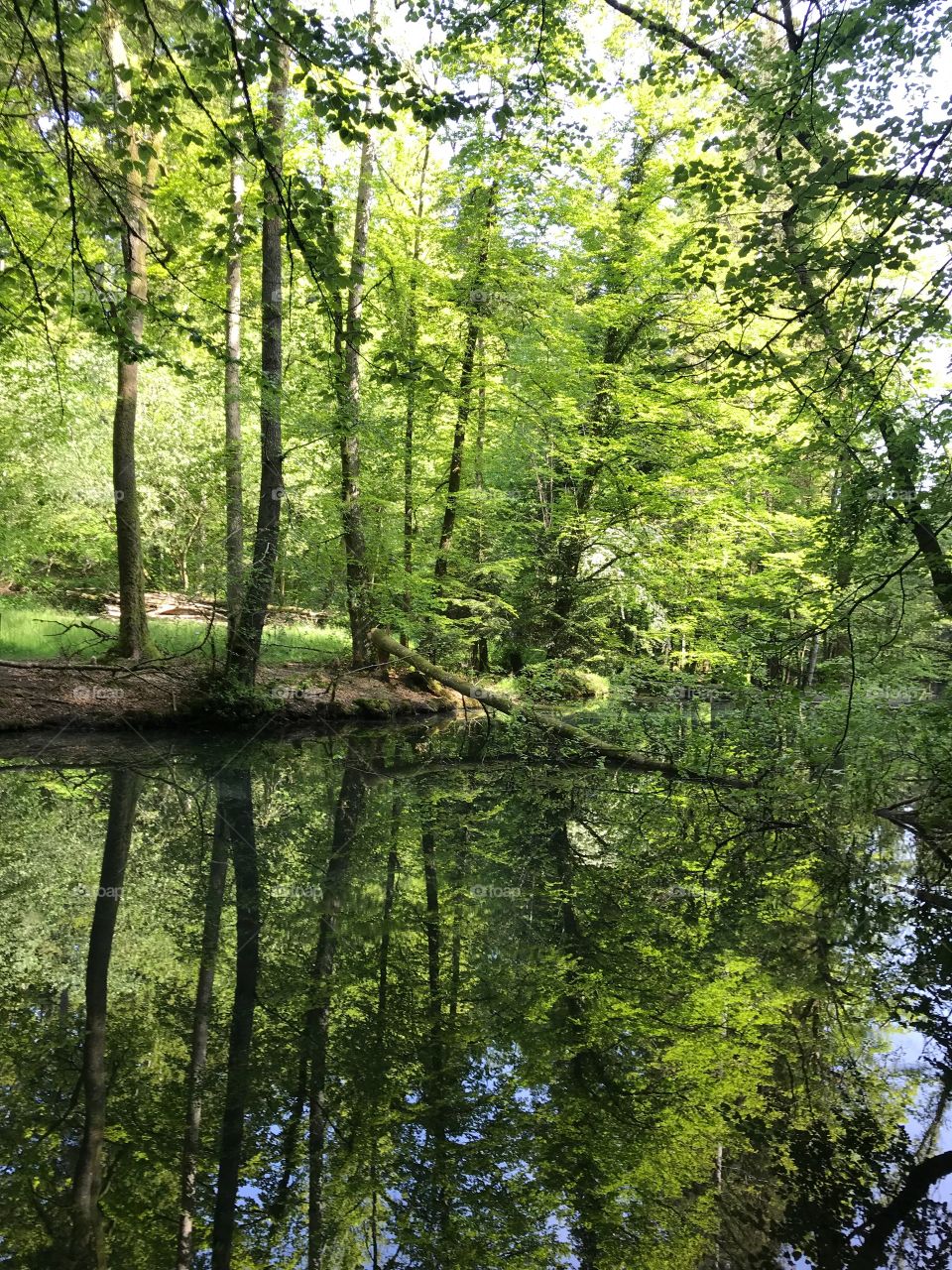 Steibachweiher 