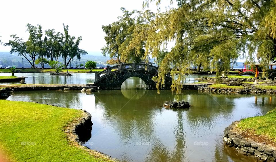 Hilo Hawai'i landscape tea garden