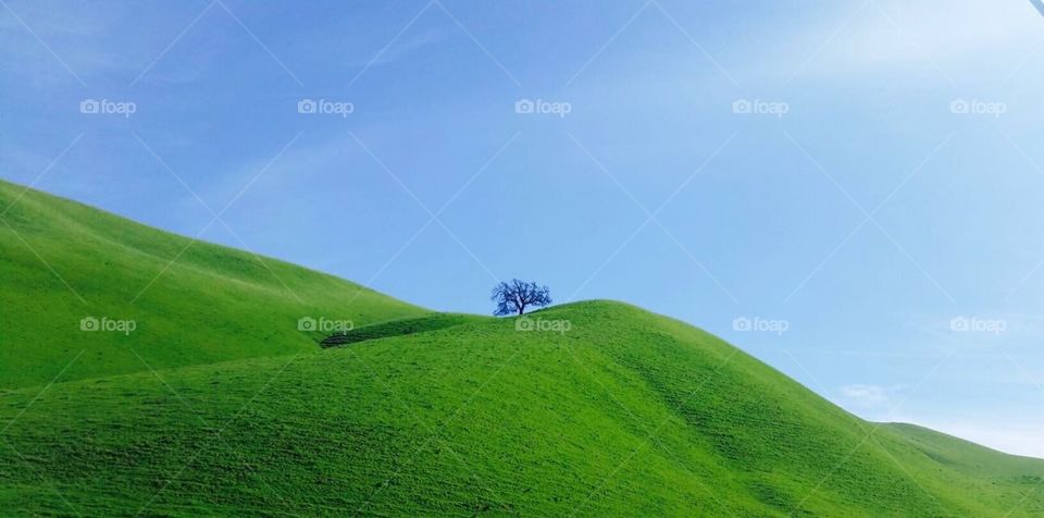 Lime Ridge 
Open Space