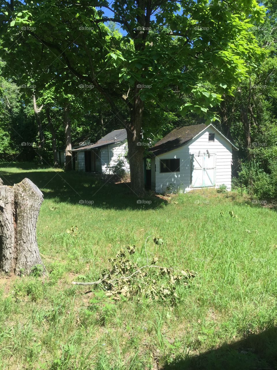 Abandoned Church Camp Cabins