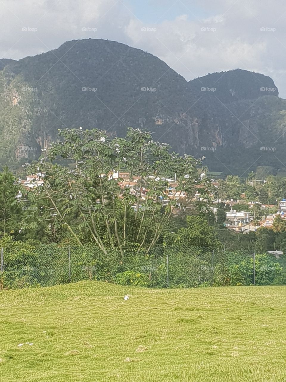 Viñales