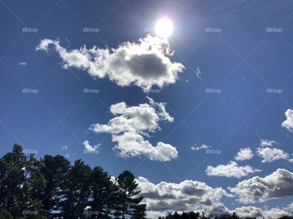 I took an unplanned trip to a state park a mile from my childhood home. On such a glorious day I found solace in a time of intense crisis. I’m thankful for that particular morning in that particular time in my life