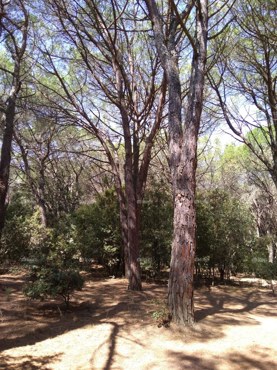 Best of 2021: Nature