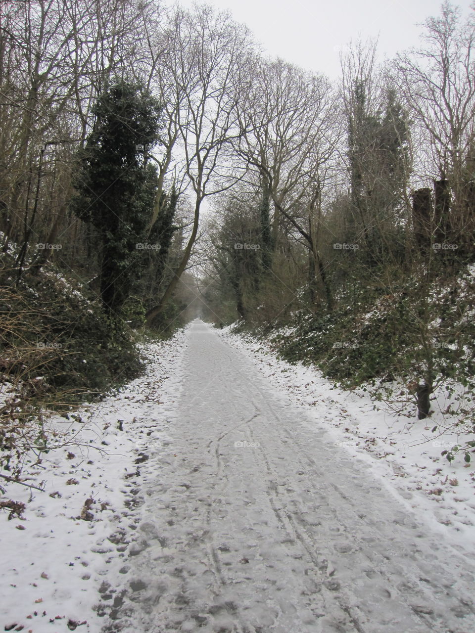 Snowey Track