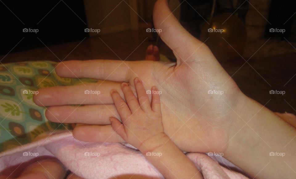 Tiny hand. Premature baby hand