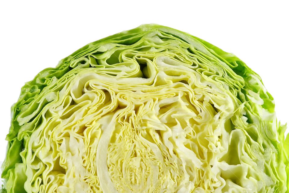 Cabbage