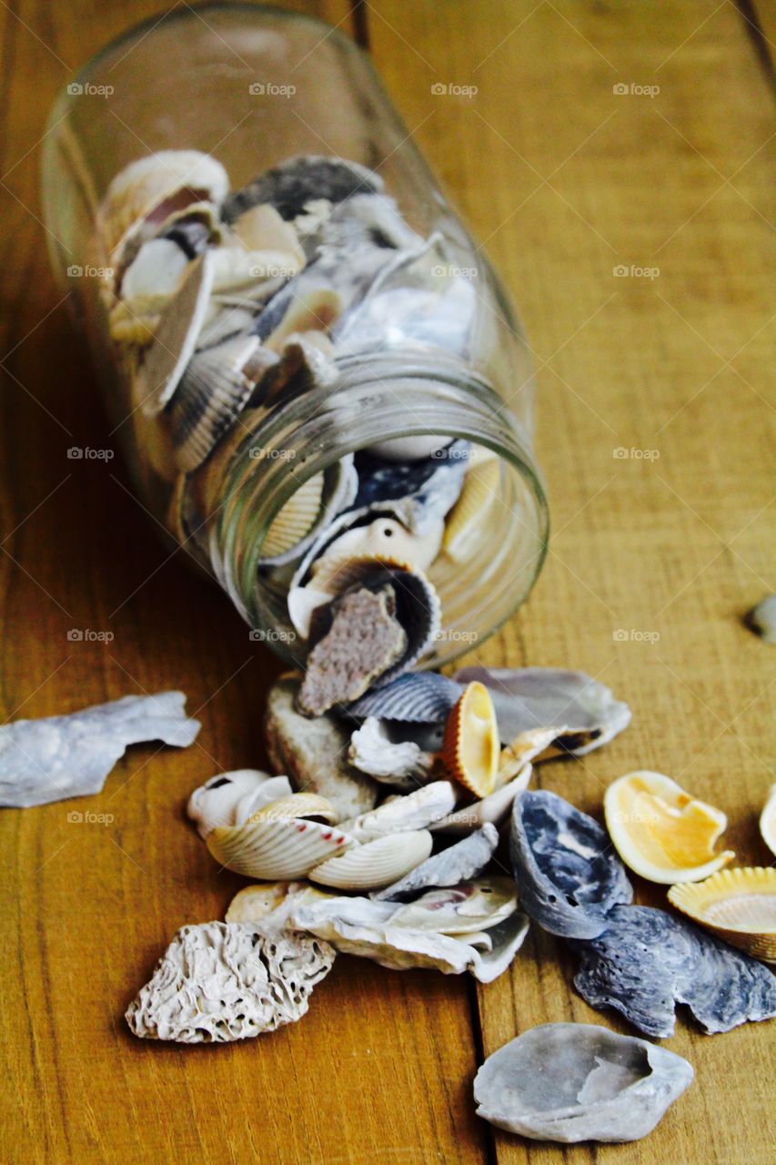 Shells in overturned jar