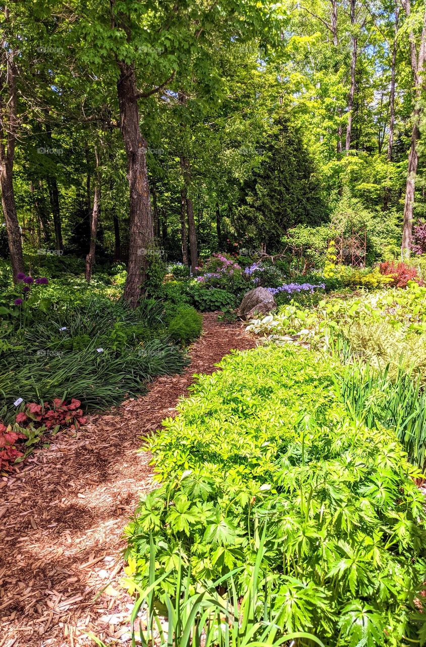 Be authentic my favorite place to hike