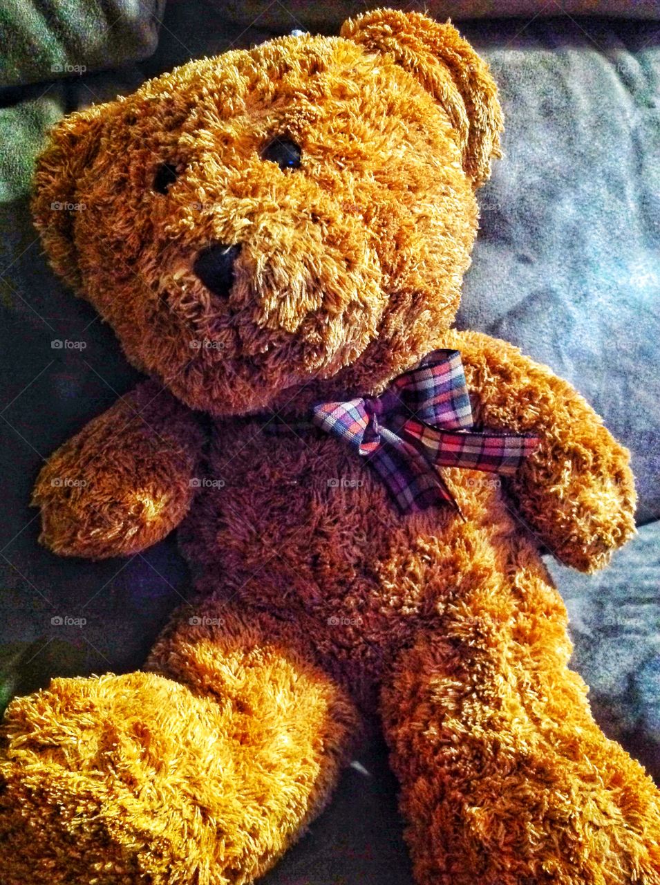 Teddy a kids best friend
