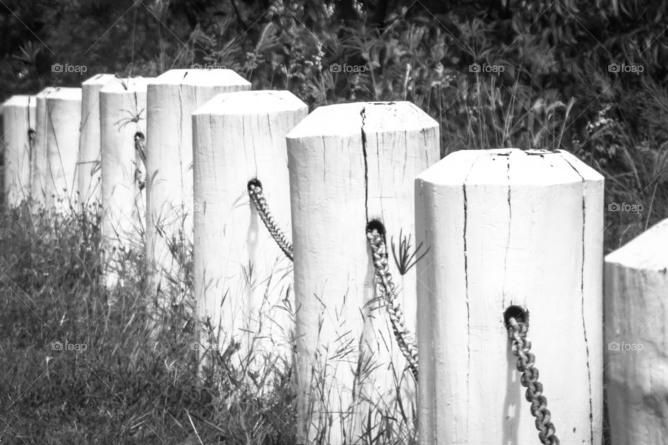 Black & white timber posts