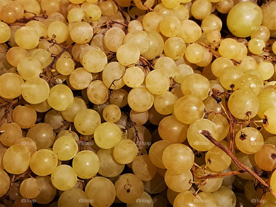 Grapes