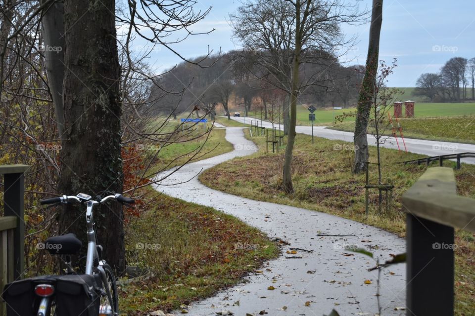 Tree, Landscape, Road, No Person, Fall