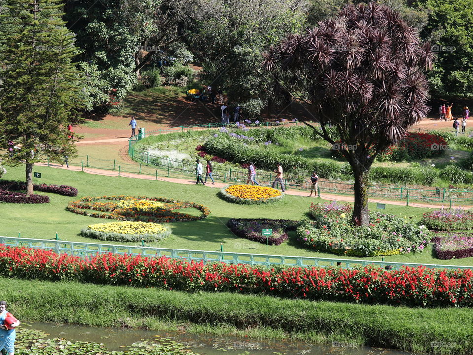 ooty botanical garden