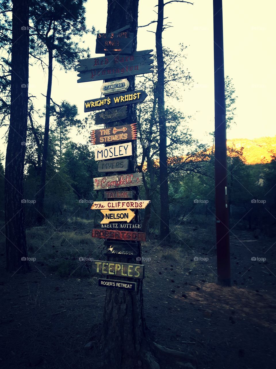 Arizona wilderness - cabin signs. Pine, Arizona
