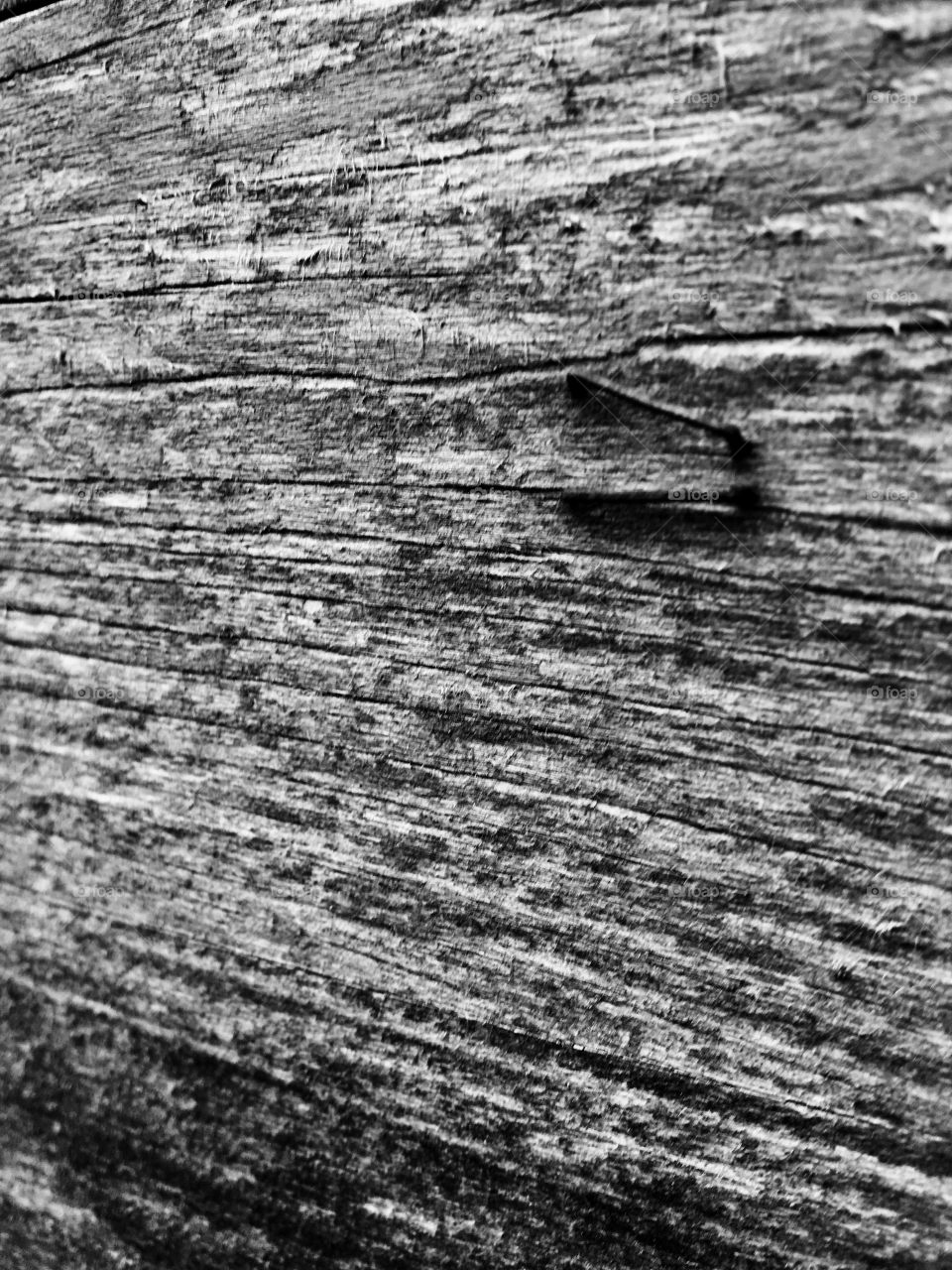 Old wood