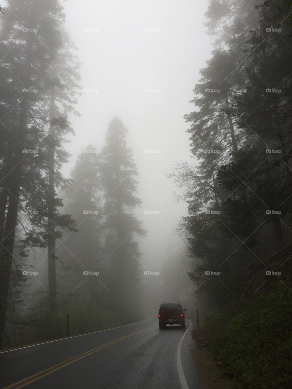 Fog, No Person, Road, Mist, Rain
