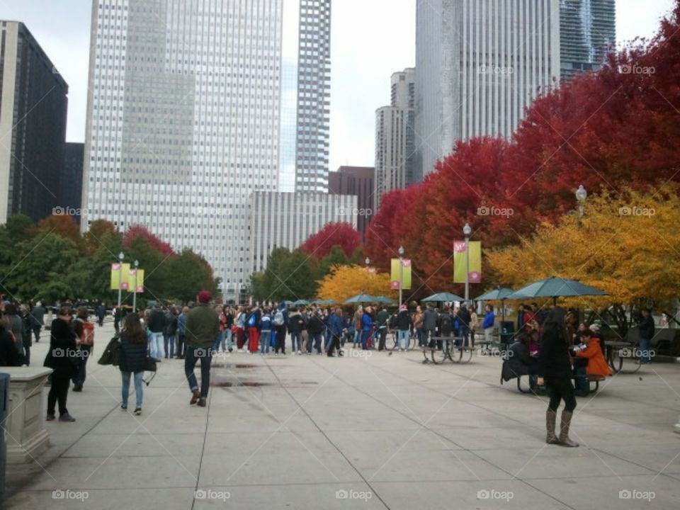 Fall in Chicago