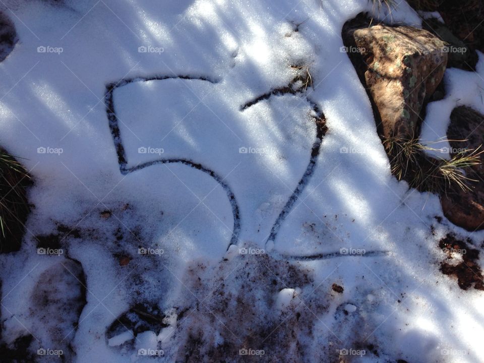 52 in the snow 