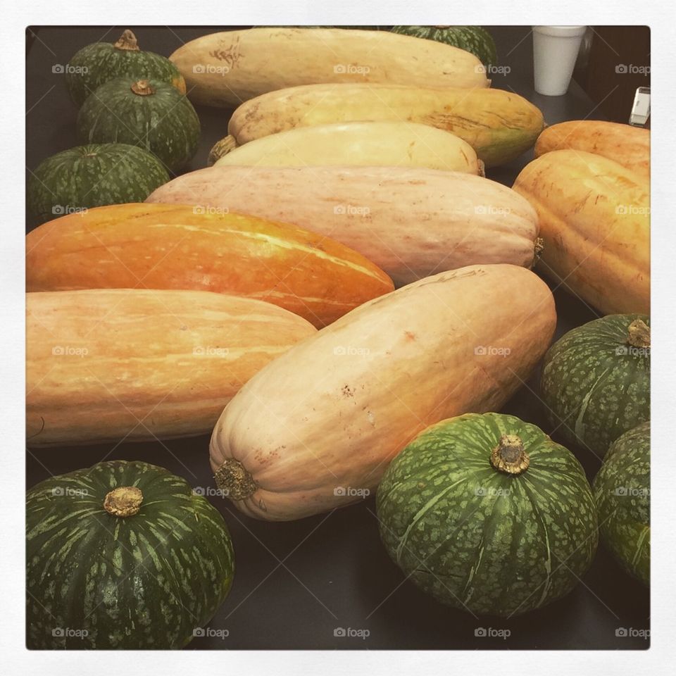 Squash