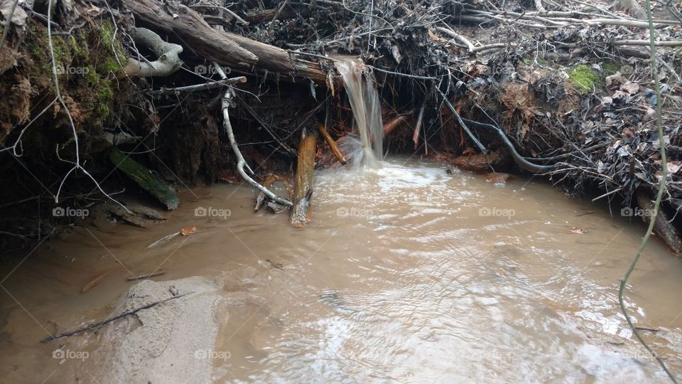 Water, Flood, River, Nature, Environment