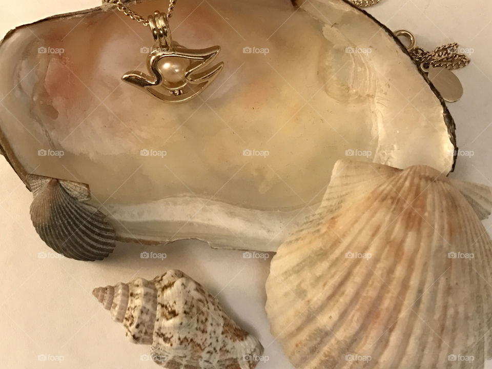 Various shells with pearl necklace
