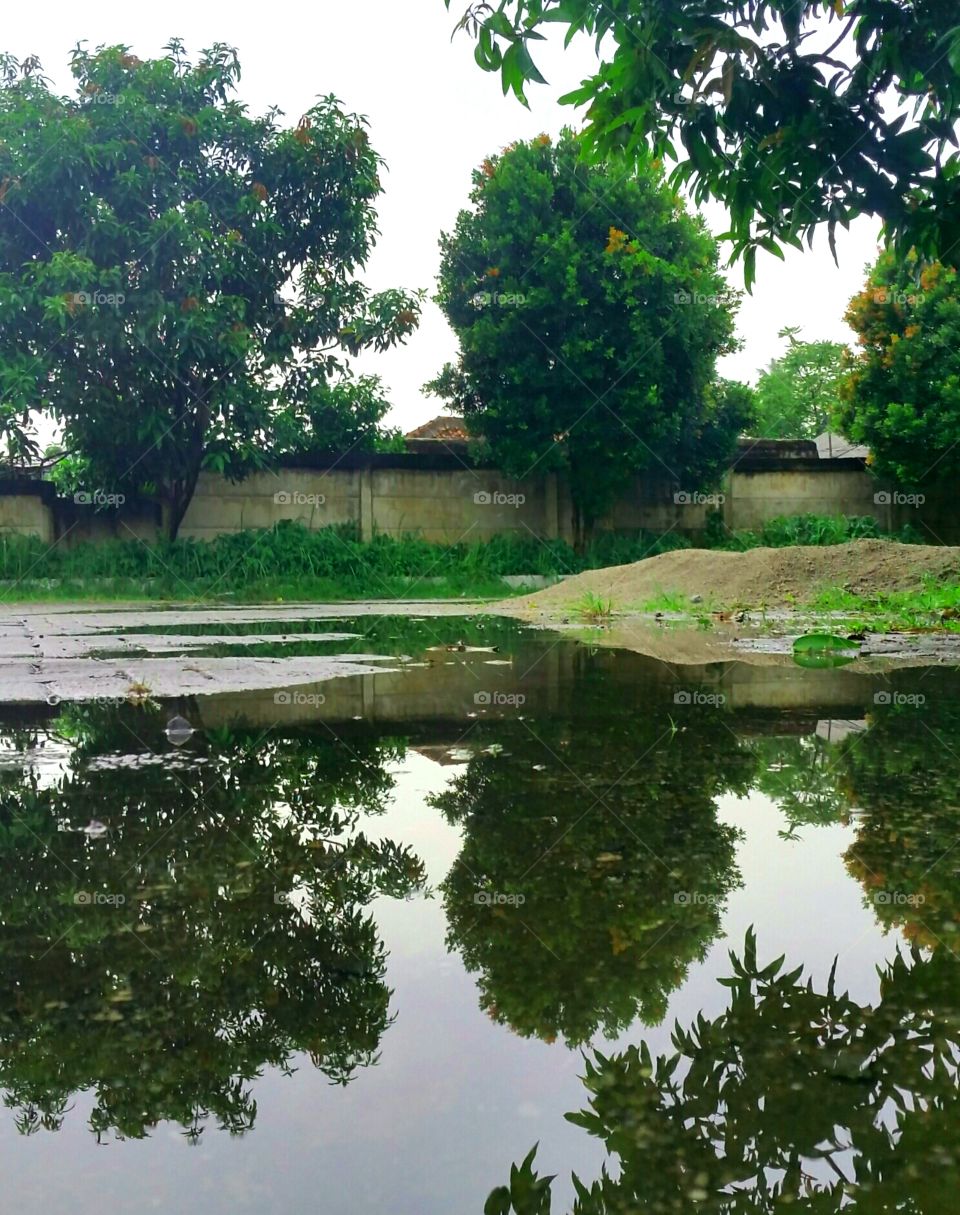 Parking lot after rain, the water makes reflection of plants around.