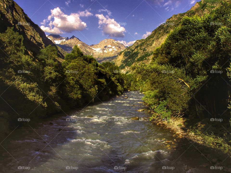 French Alps 