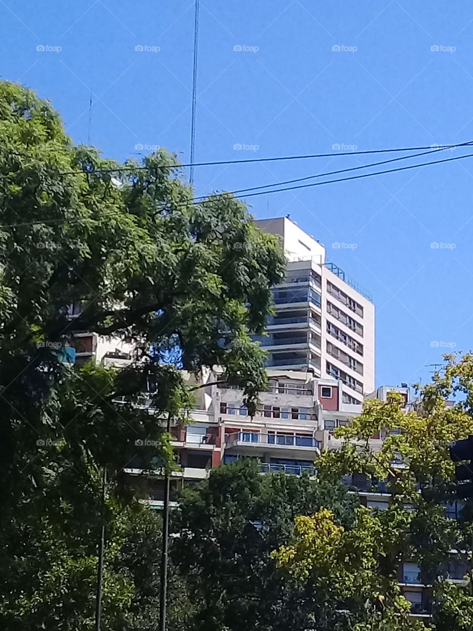 moderno edificio urbano destinado a oficinas comerciales destacando entre las copas de árboles y recortado contra un cielo de verano despejado.