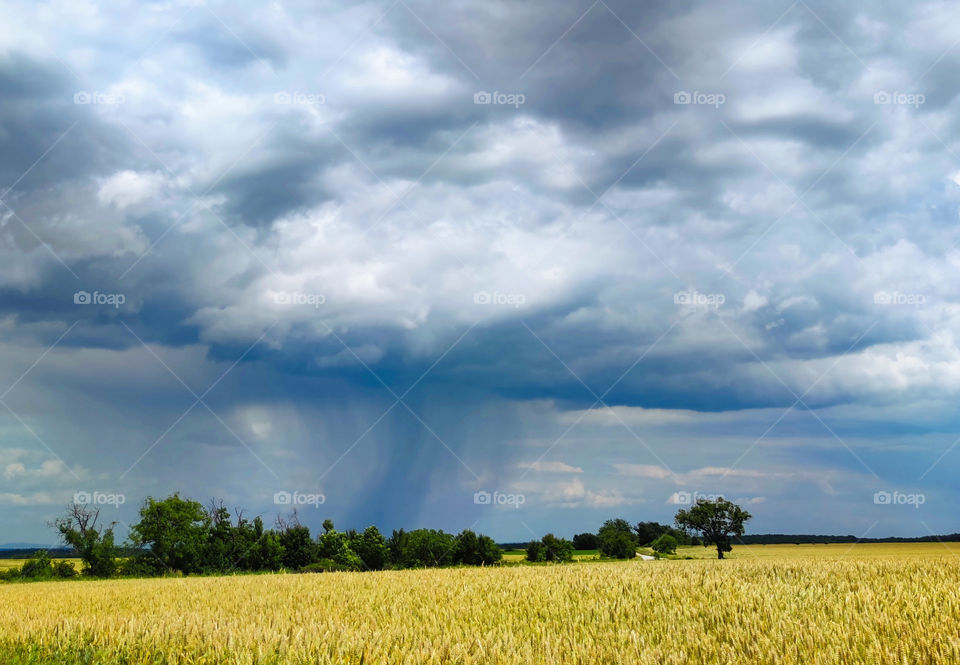 Summer storm over the field