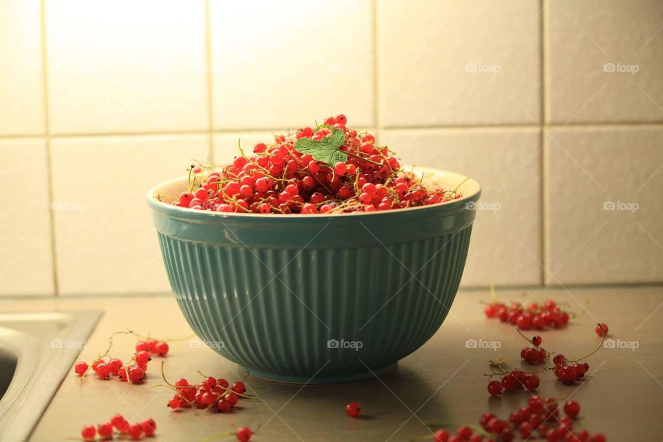 Red currant berries harvest