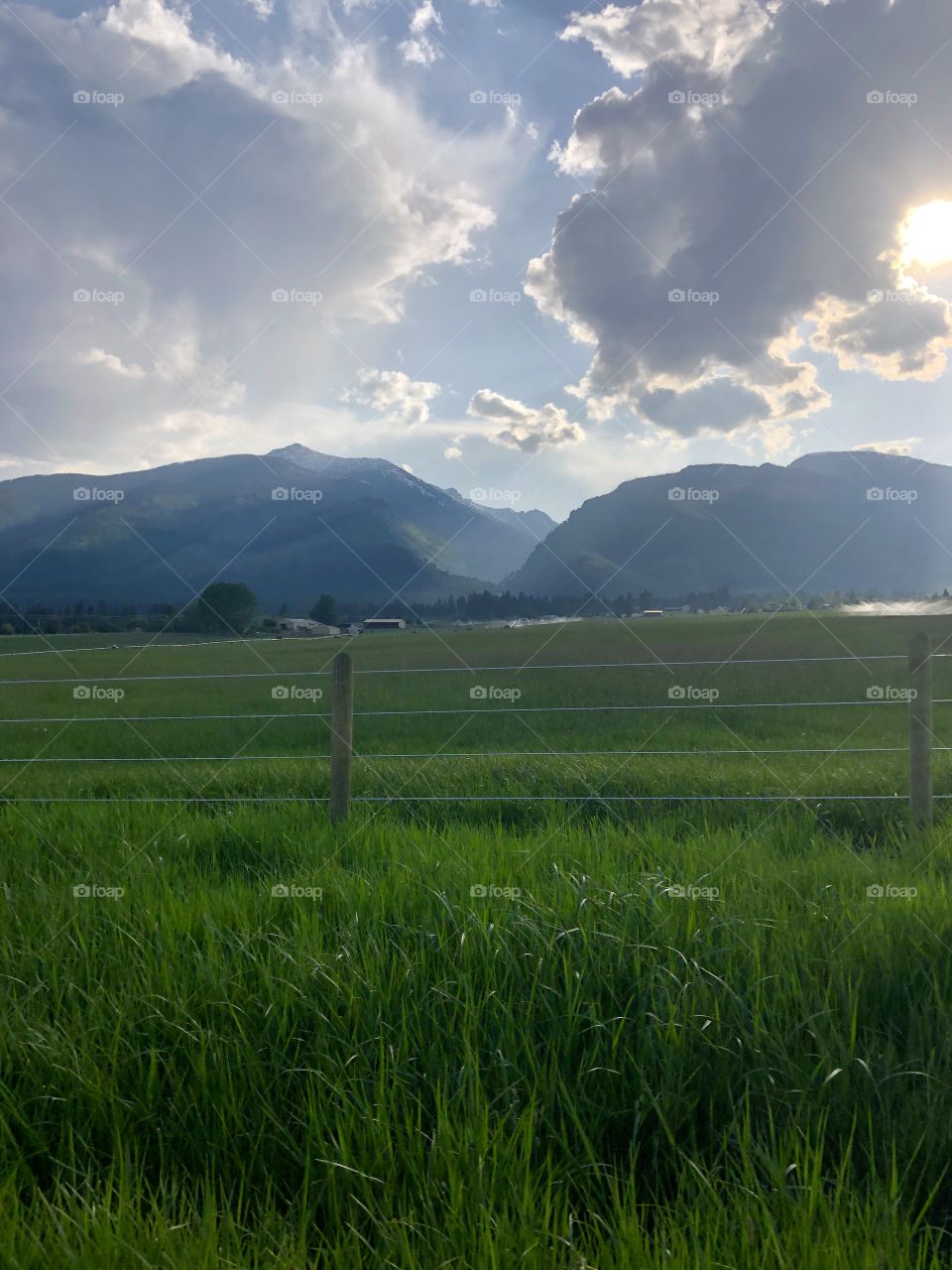 Beautiful Montana evening with the sun going down behind blue mountains and vibrant green field. 