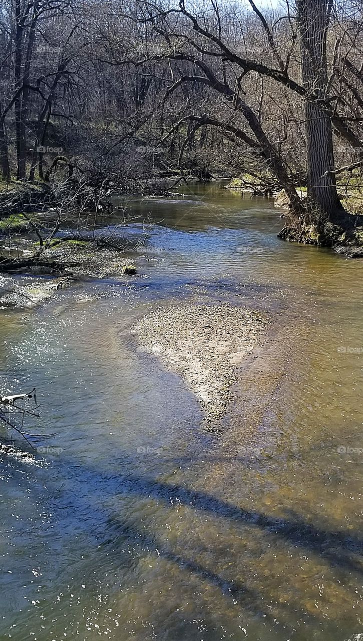 banks of the creek