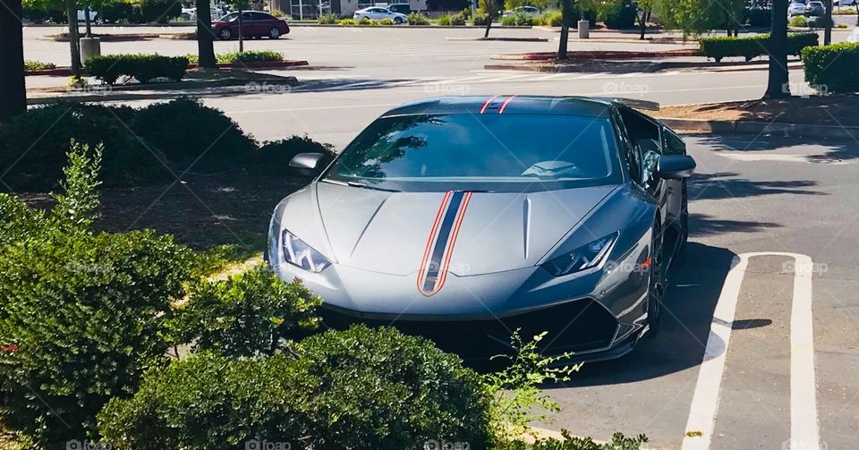 Sleek Lamborghini - driving in style - 