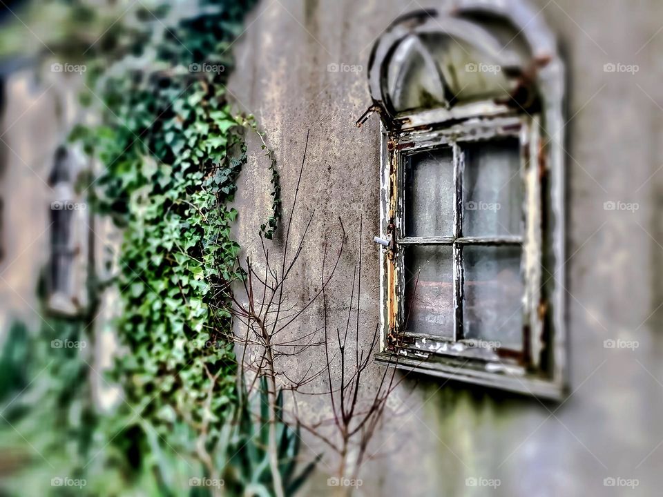 Old Window 