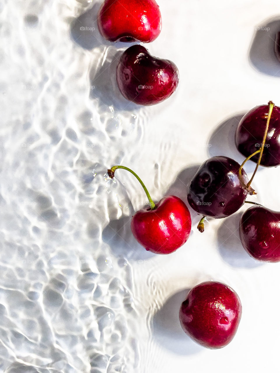 Fresh cherries in water with white background 